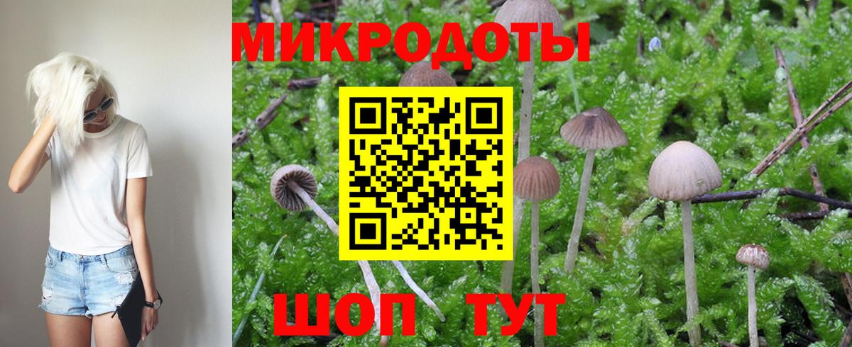 Южно-Сахалинск  Галлюциногенные грибы MAGIC MUSHROOMS  Вход с VPN 