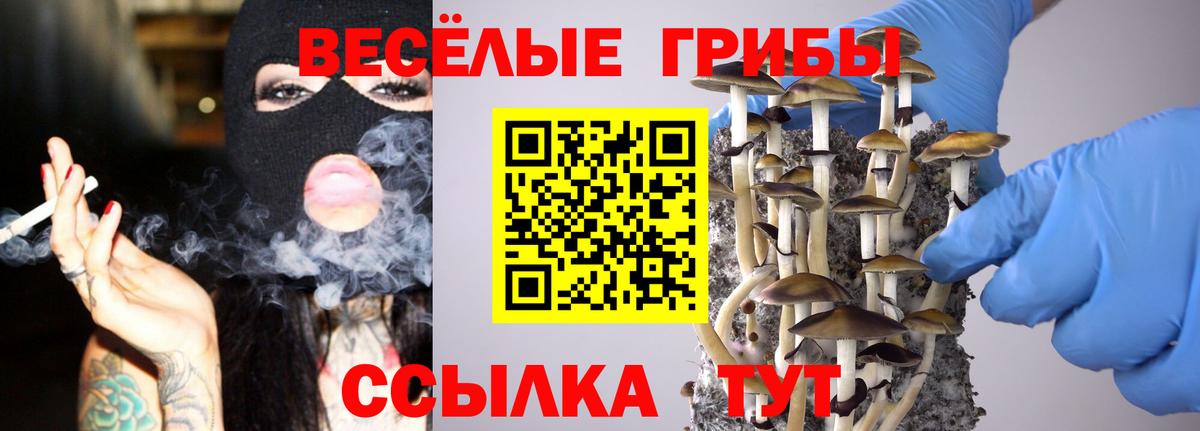 Псилоцибиновые грибы MAGIC MUSHROOMS Южно-Сахалинск